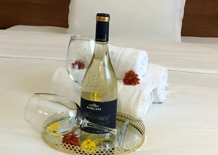 Hotel Premier Botosani