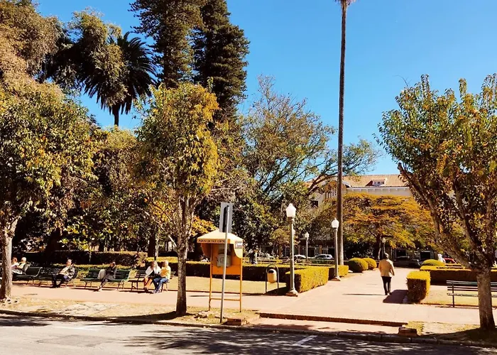 Hotel D'oeste - Mova Hotéis