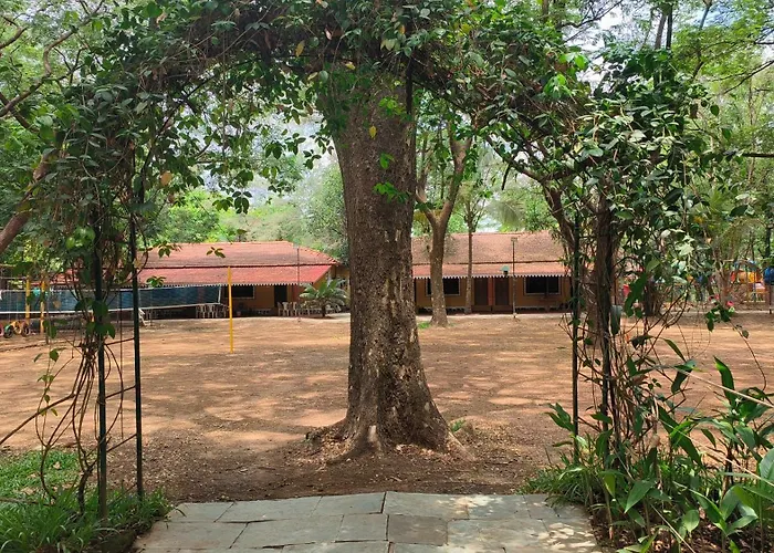 Pinewood Resort