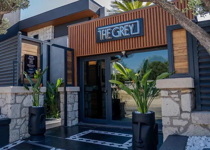The Grey Alacati
