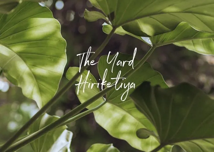 The Yard Hiriketiya