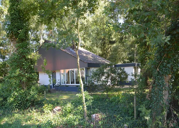 Holiday Home In Haaksbergen By Lake