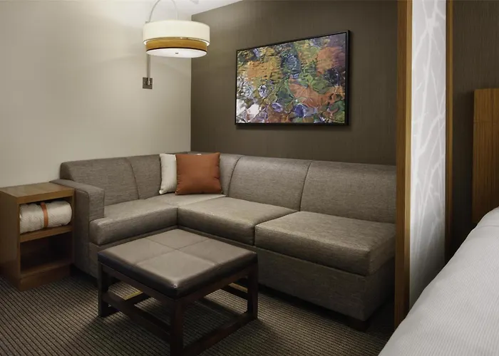 Hyatt Place Knoxville/Downtown