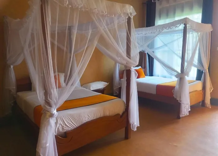 New Court View Hotel