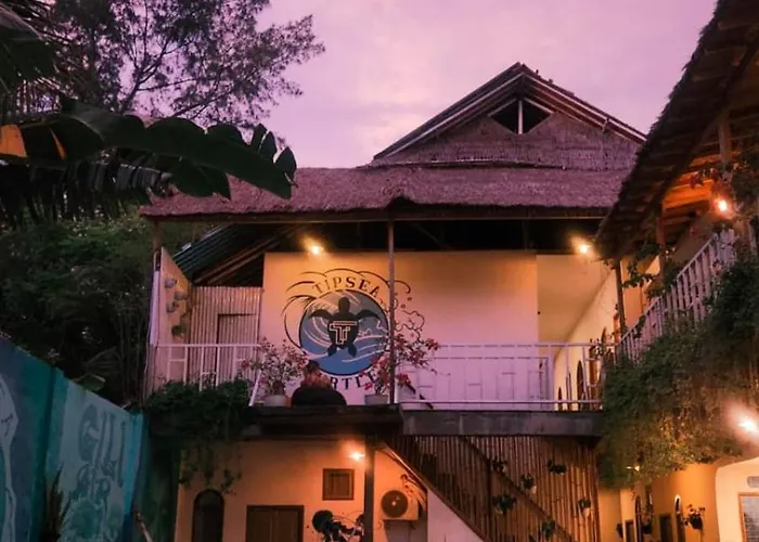Tipsea Turtle Gili Air