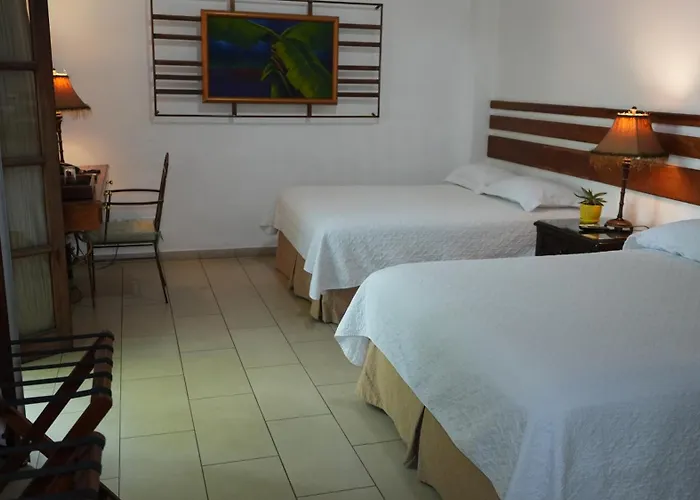 Hotel Casa Del Arbol