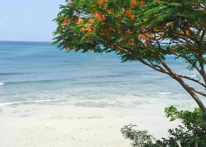 Lemarida Suites