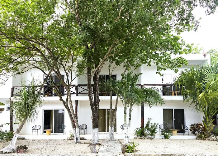 Hotel Casa Tortuga Tulum - Cenotes Park Inclusive