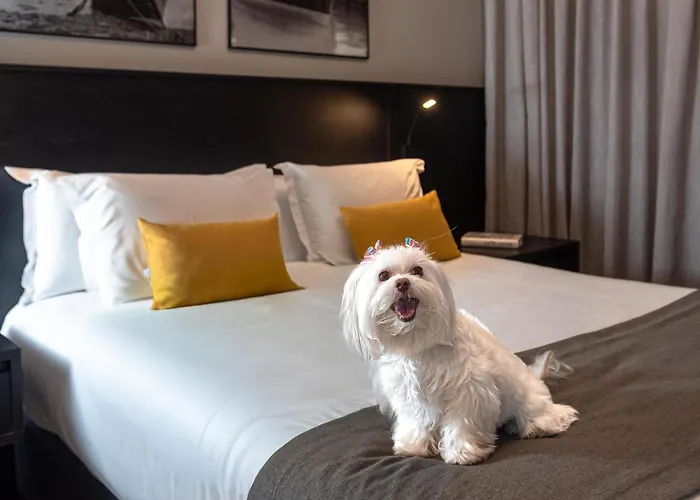 I Am Design Hotel Campinas By Hotelaria Brasil