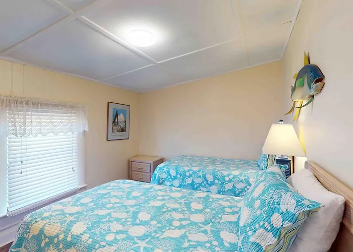 Abct94 Sandfiddler