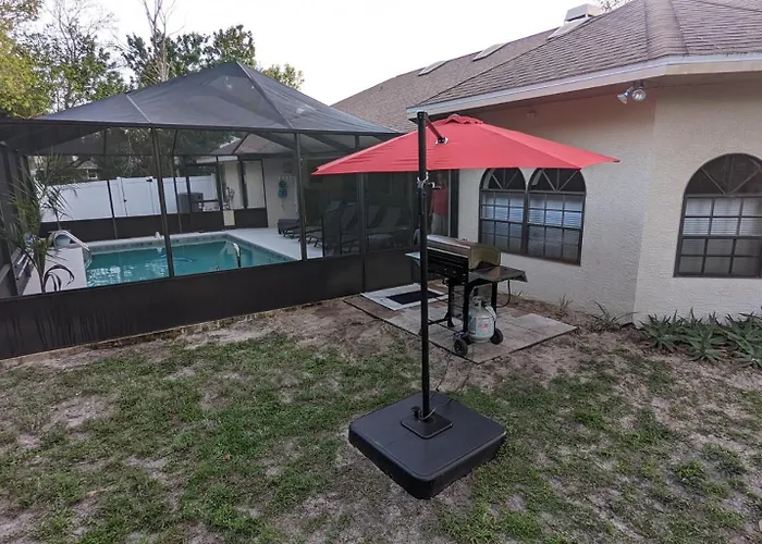 Your Manatee And Scalloping Adventure Retreat In Crystal River