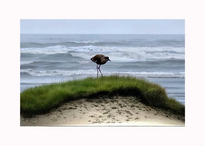 Pousada Beira Mar Peruíbe