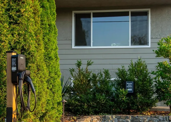 Sidney Solace 1Br Suite Minutes From Waterfront