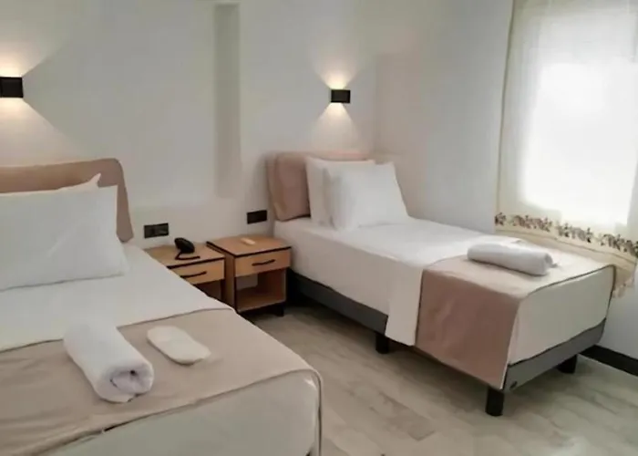 The Professor'S Hotel