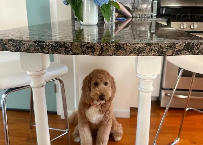 Coastal And Cozy Beach Stay, Pet Friendly