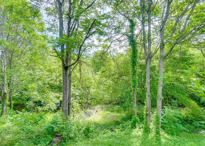 Walk To Historic Maryville: True Southern Getaway!