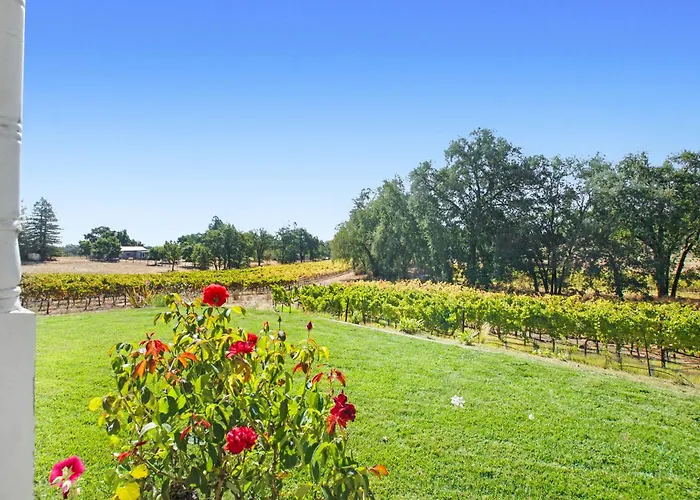 Private Vineyard Retreat With Hot Tub