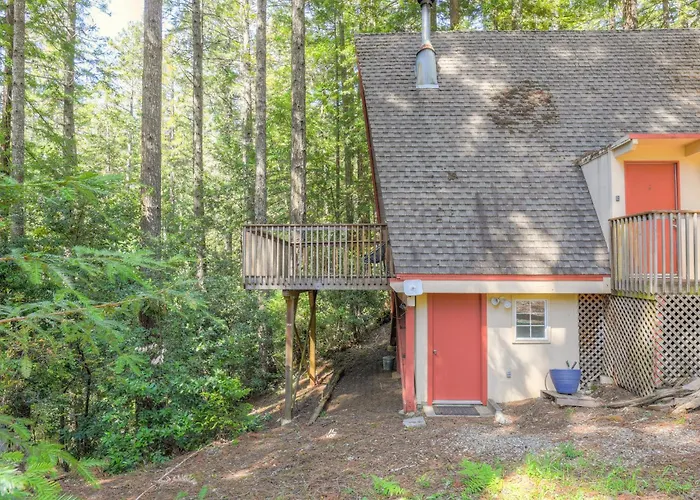 Star Nest - Secluded Forest Property