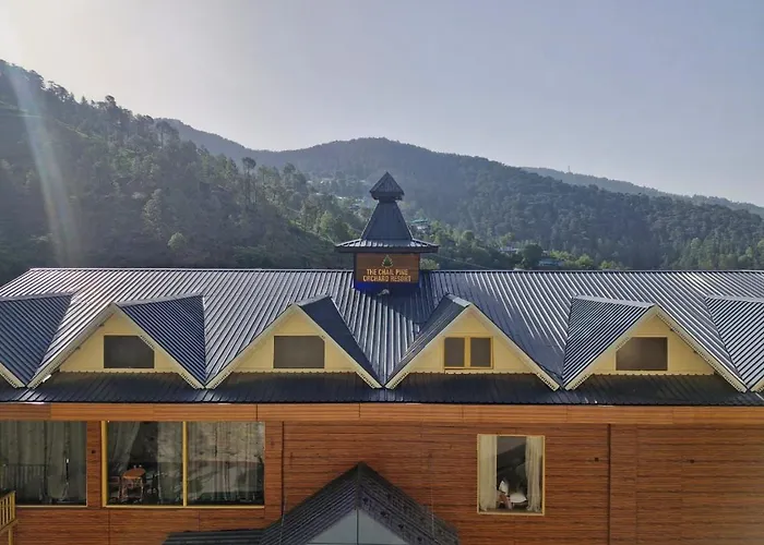 The Chail Pine Orchard Resort