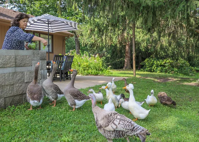 Harmony Inn, Huntley Illinois