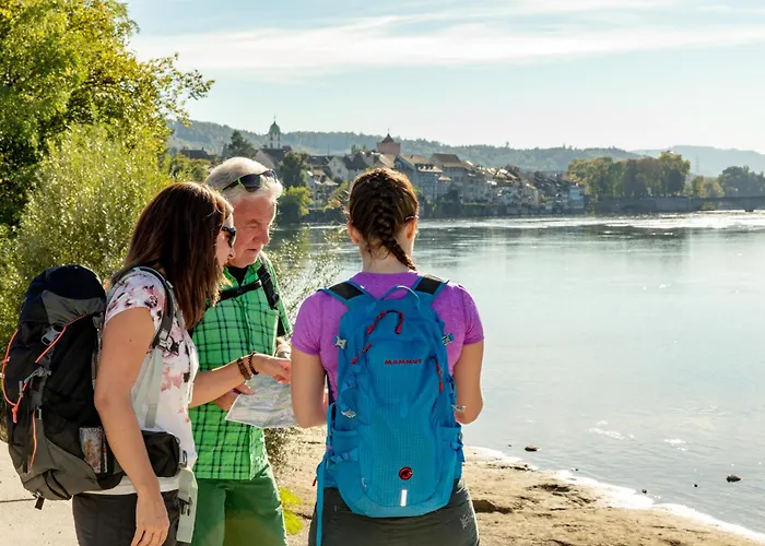 Hotel Schiff am Rhein