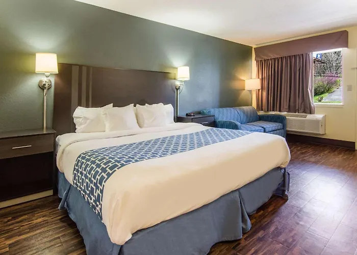 Econo Lodge Near Motor Speedway