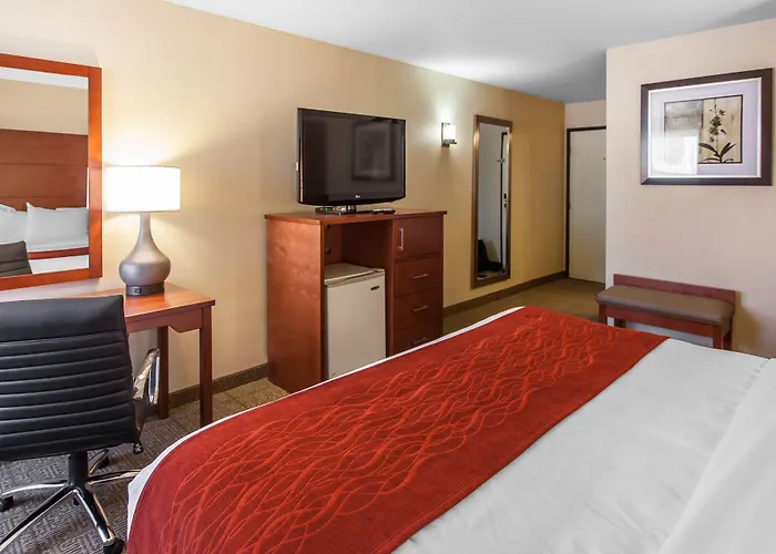 Comfort Inn & Suites Near Fallon Naval Air Station