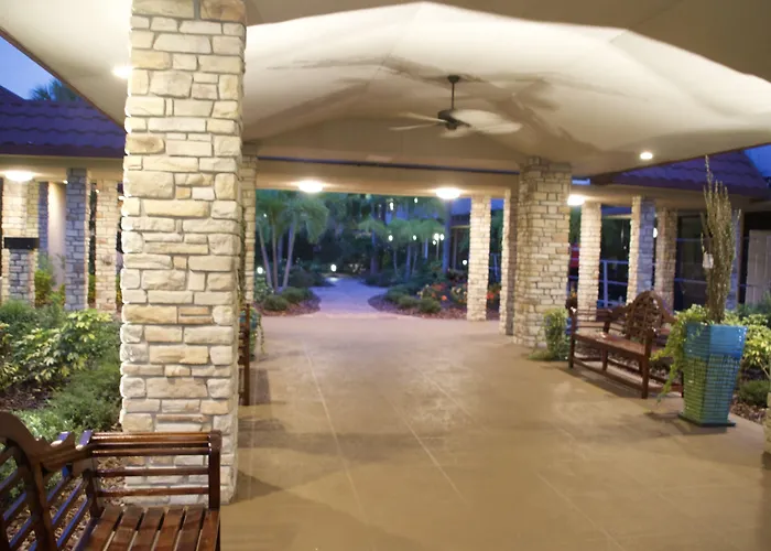 Magic Tree Resort