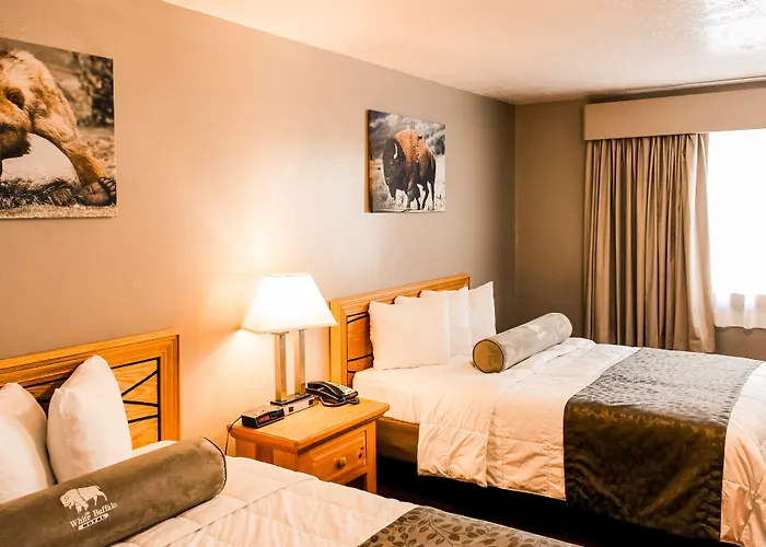White Buffalo Hotel
