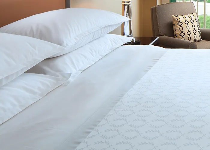 Sheraton San Jose Silicon Valley