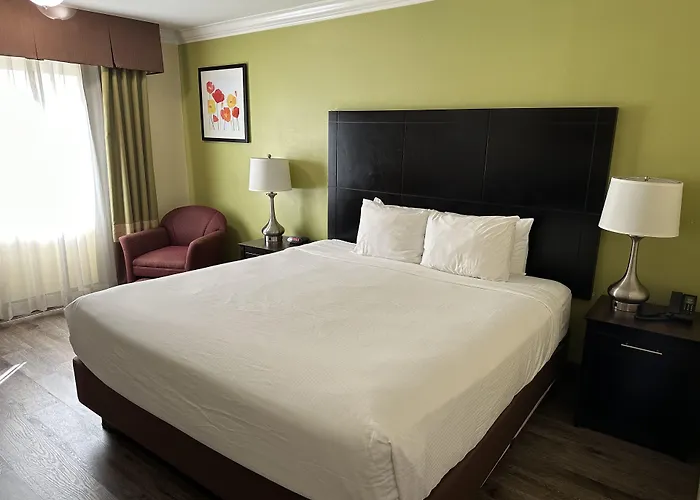 Solara Inn And Suites