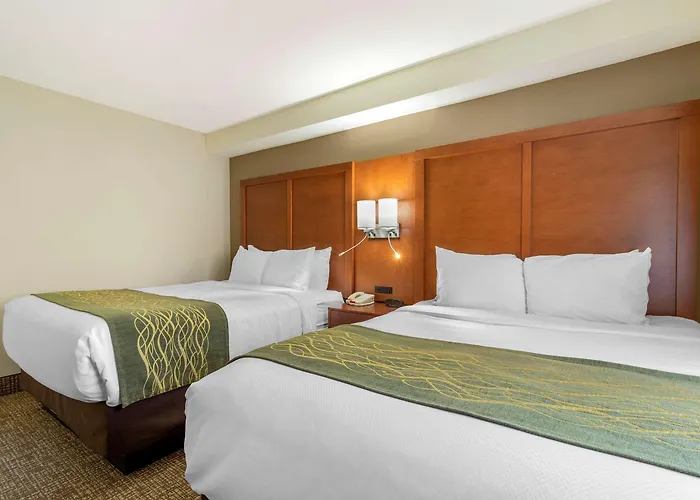 Comfort Inn & Suites - Near Robins Air Force Base Main Gate