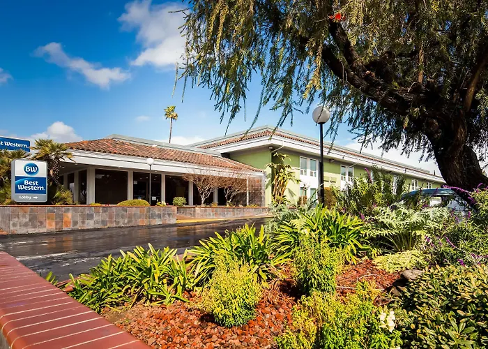 Best Western Village Inn