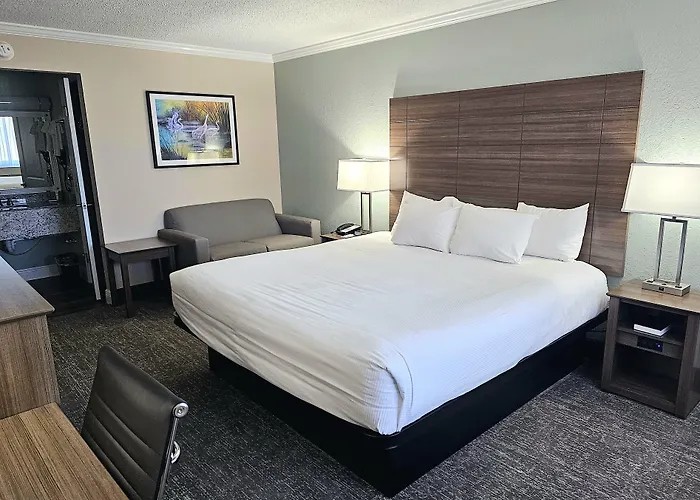 Roadstar Hotel Zephyrhills