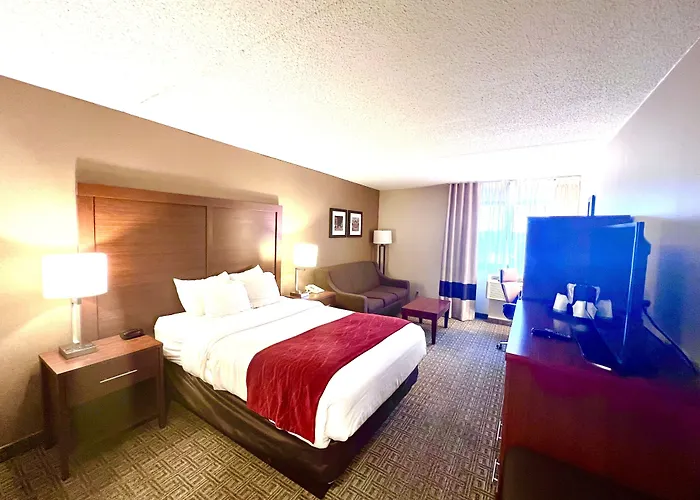 Comfort Inn Latham - Albany North