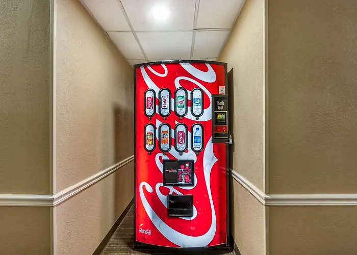 Comfort Inn & Suites East Hartford - Hartford
