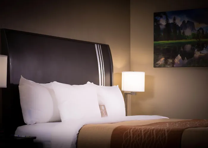 Comfort Inn Yosemite Area