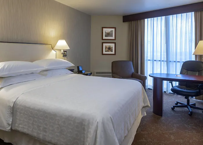 Sheraton Houston Brookhollow Hotel