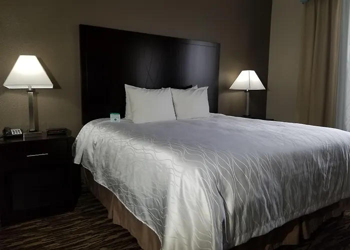 Comfort Suites Plano East - Richardson