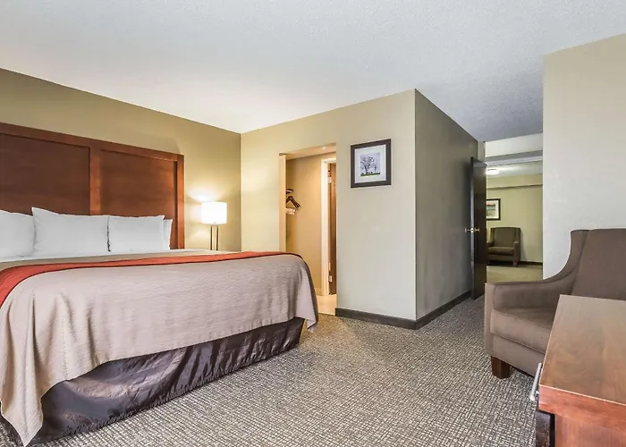 Comfort Inn&Suites Lexington - Hamburg I-75