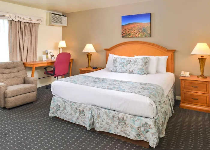 Svendsgaard's Lodge- Americas Best Value Inn&Suites
