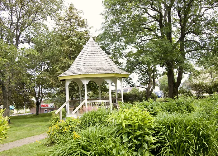 Rodd Grand Yarmouth