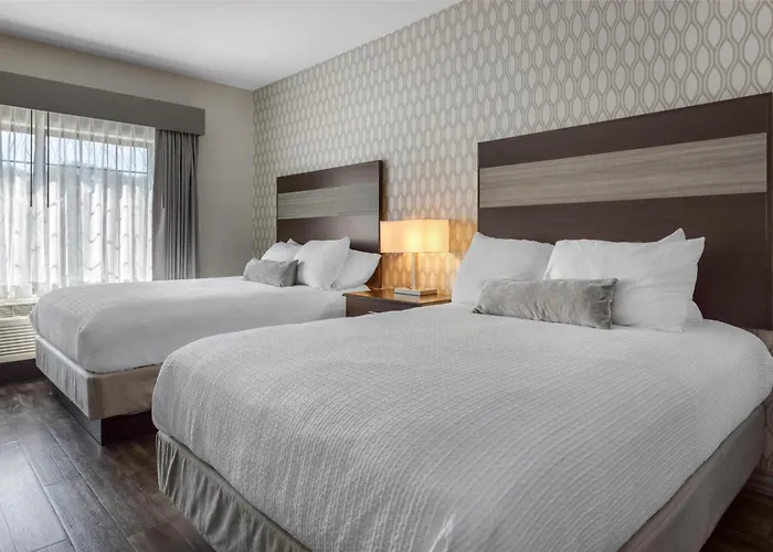 Best Western Plus Saint Peter