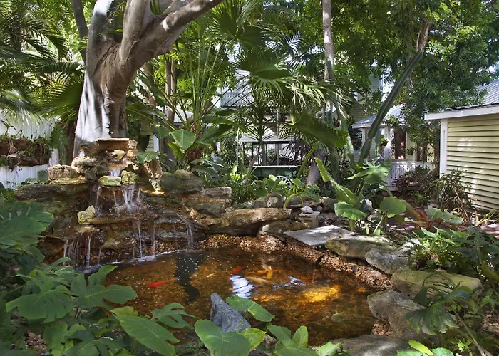 Island City House