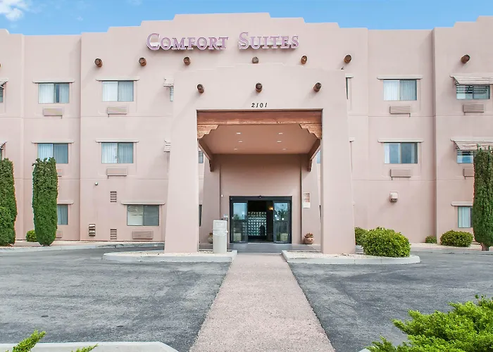 Comfort Suites University