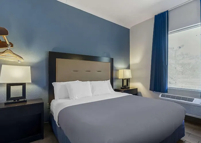 Rodeway Inn Wesley Chapel