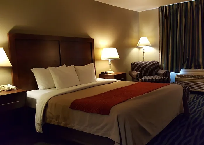 Comfort Inn & Suites Sequoia Kings Canyon