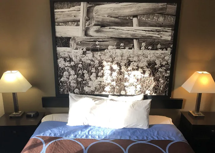 Super 8 By Wyndham Boise