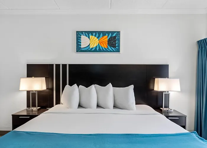 Oasis Bay Suites, Tampa, Busch Gardens, Usf