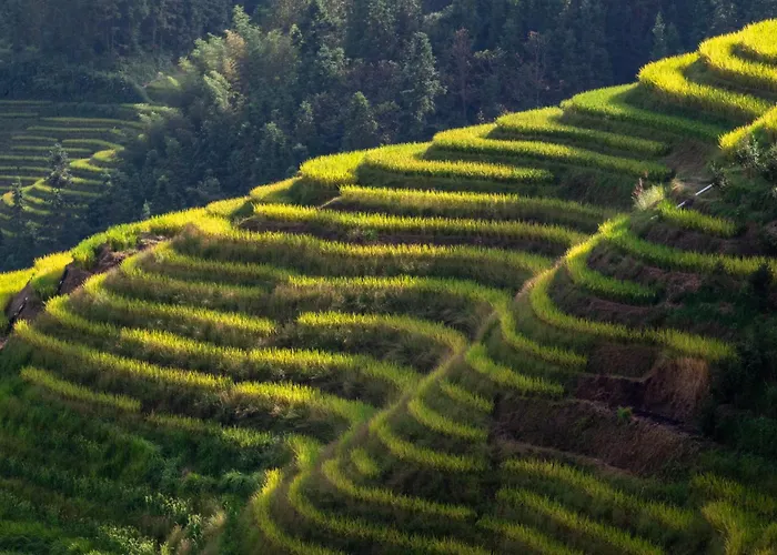 Longsheng Longji Rice Terraces Jingyue Hotel 龙胜龙脊梯田境悦酒店